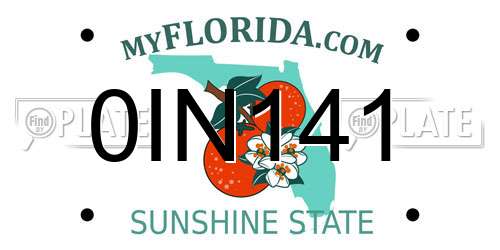 0IN141 Florida License Plate