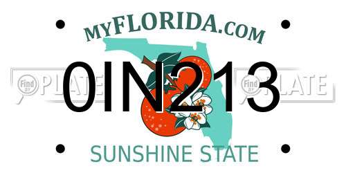 0IN213 Florida License Plate