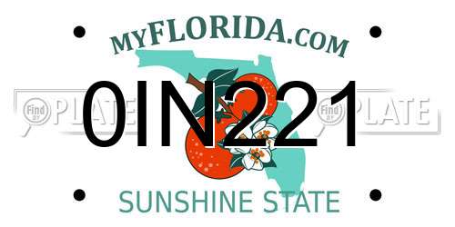 0IN221 Florida License Plate