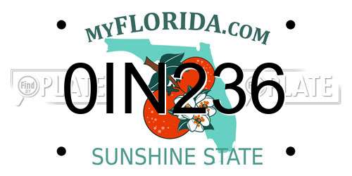 0IN236 Florida License Plate