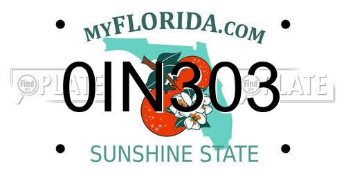 0IN303 Florida License Plate