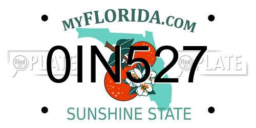 0IN527 Florida License Plate