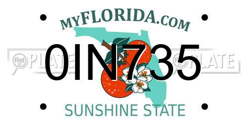 0IN735 Florida License Plate