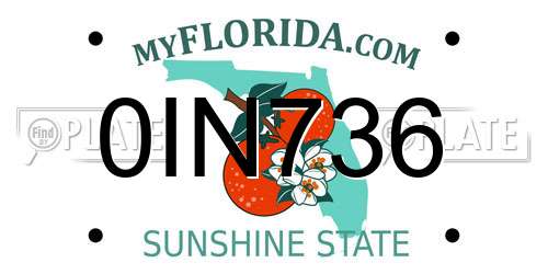 0IN736 Florida License Plate