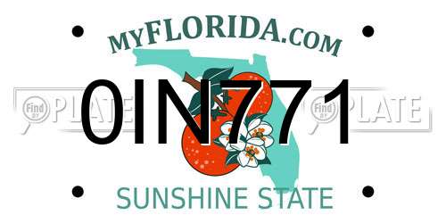 0IN771 Florida License Plate
