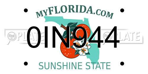 0IN944 Florida License Plate