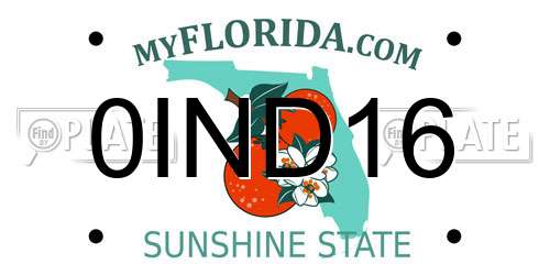 0IND16 Florida License Plate