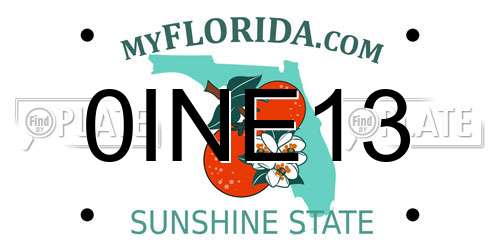 0INE13 Florida License Plate