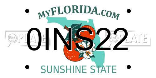0INS22 Florida License Plate