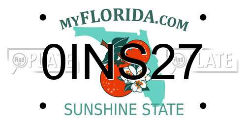 0INS27 Florida License Plate