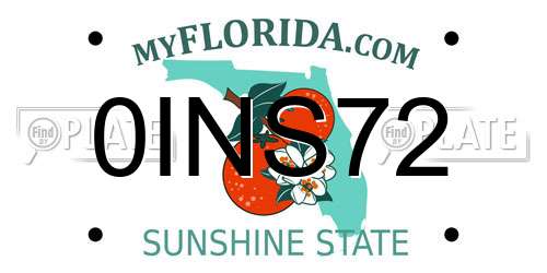 0INS72 Florida License Plate