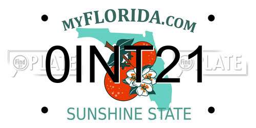 0INT21 Florida License Plate