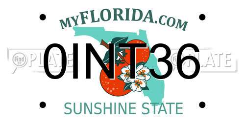 0INT36 Florida License Plate