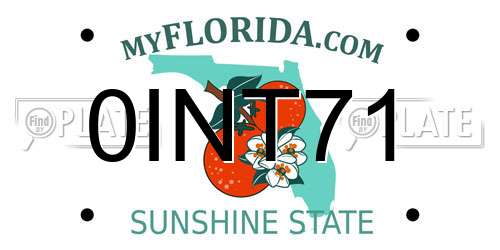 0INT71 Florida License Plate