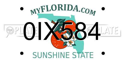 0IX584 Florida License Plate