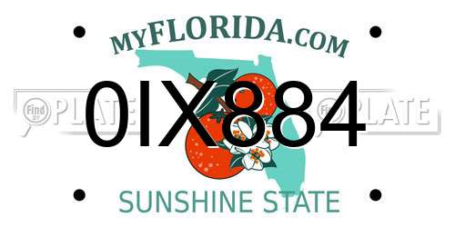 0IX884 Florida License Plate
