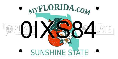 0IXS84 Florida License Plate