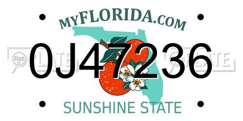 0J47236 Florida License Plate