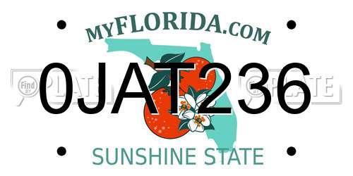 0JAT236 Florida License Plate