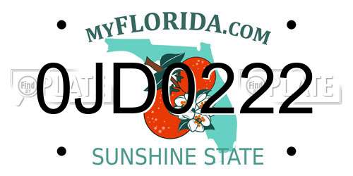 0JD0222 Florida License Plate
