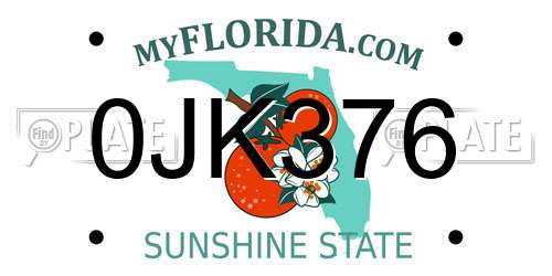 0JK376 Florida License Plate
