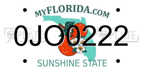0JO0222 Florida License Plate