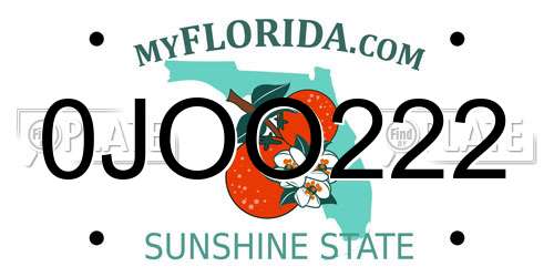 0JOO222 Florida License Plate