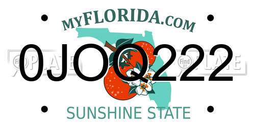 0JOQ222 Florida License Plate