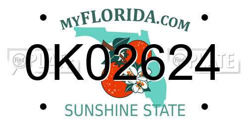 0K02624 Florida License Plate