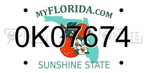 0K07674 Florida License Plate