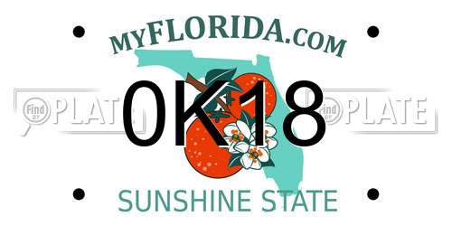 0K18 Florida License Plate