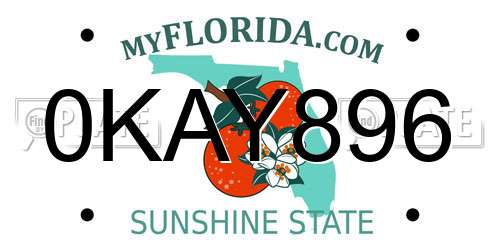 0KAY896 Florida License Plate