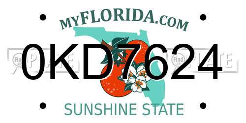0KD7624 Florida License Plate