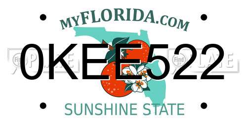0KEE522 Florida License Plate