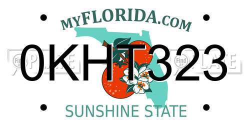 0KHT323 Florida License Plate