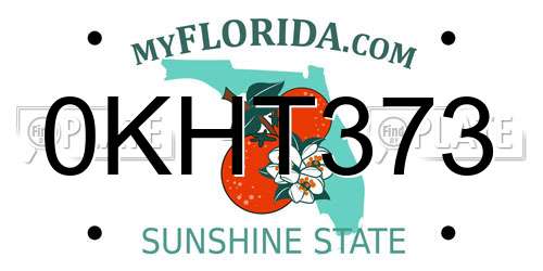 0KHT373 Florida License Plate