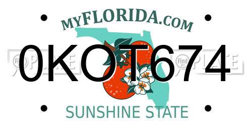 0KOT674 Florida License Plate