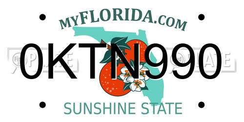 0KTN990 Florida License Plate