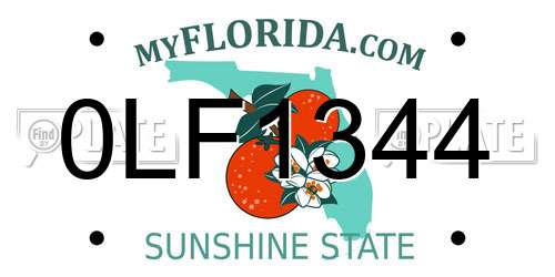 0LF1344 Florida License Plate
