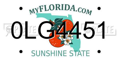 0LG4451 Florida License Plate
