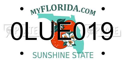 0LUE019 Florida License Plate