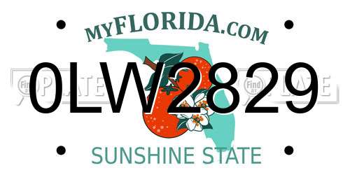 0LW2829 Florida License Plate