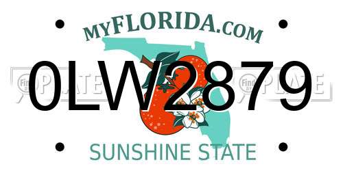 0LW2879 Florida License Plate