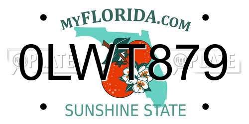 0LWT879 Florida License Plate