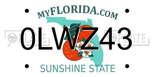 0LWZ43 Florida License Plate