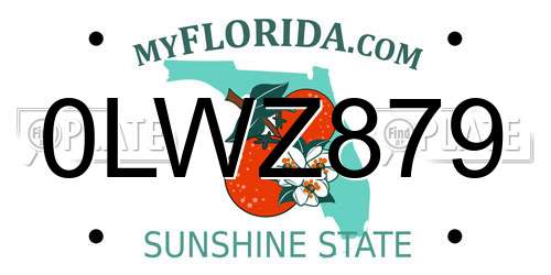 0LWZ879 Florida License Plate