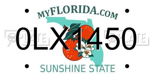 0LX1450 Florida License Plate