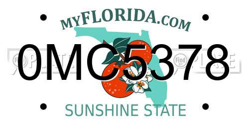0MC5378 Florida License Plate