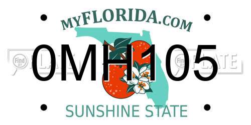 0MH105 Florida License Plate