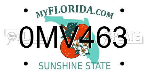 0MV463 Florida License Plate
